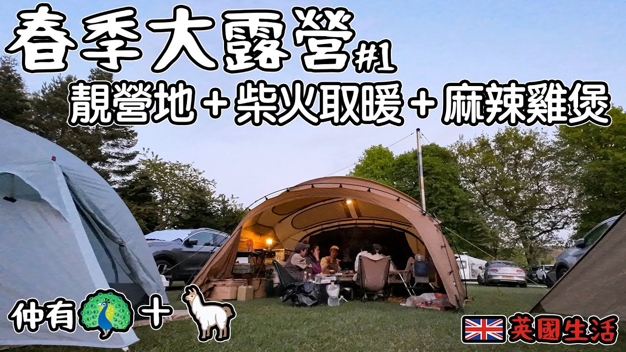 春季大露營｜靚營地＋柴火取暖＋麻辣雞煲開餐！仲有草泥馬￼ +孔雀｜BillyGoOut Camping #1   4K