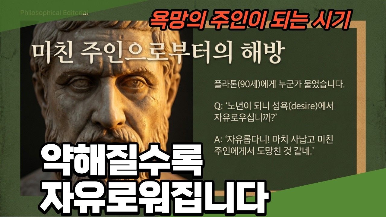 노년의 역설 | 약해질수록 자유로워지는 이유[3]