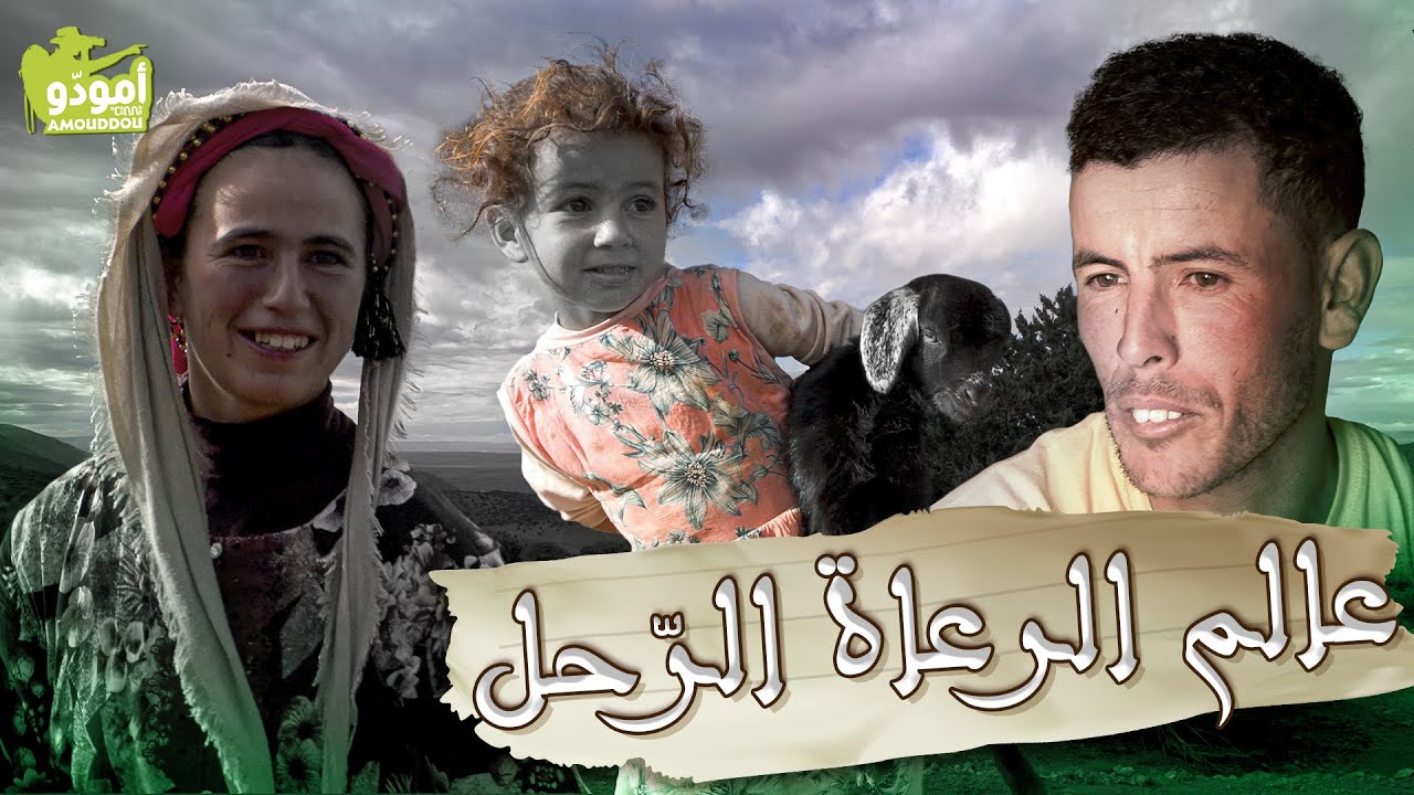 أمودّو 210 | عالم الرعاة الرّحل ✅