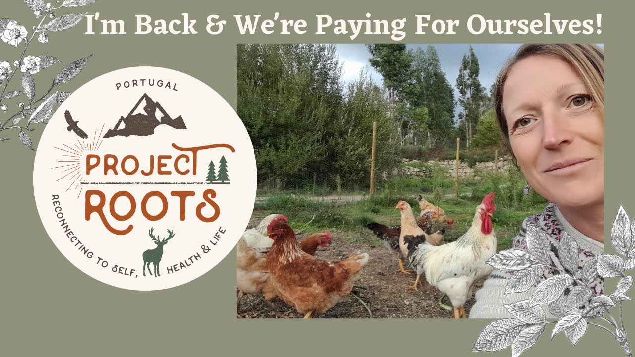 I Am Back (& We've Been Making Progress in Getting the Quinta  Farm to Pay for Itself)