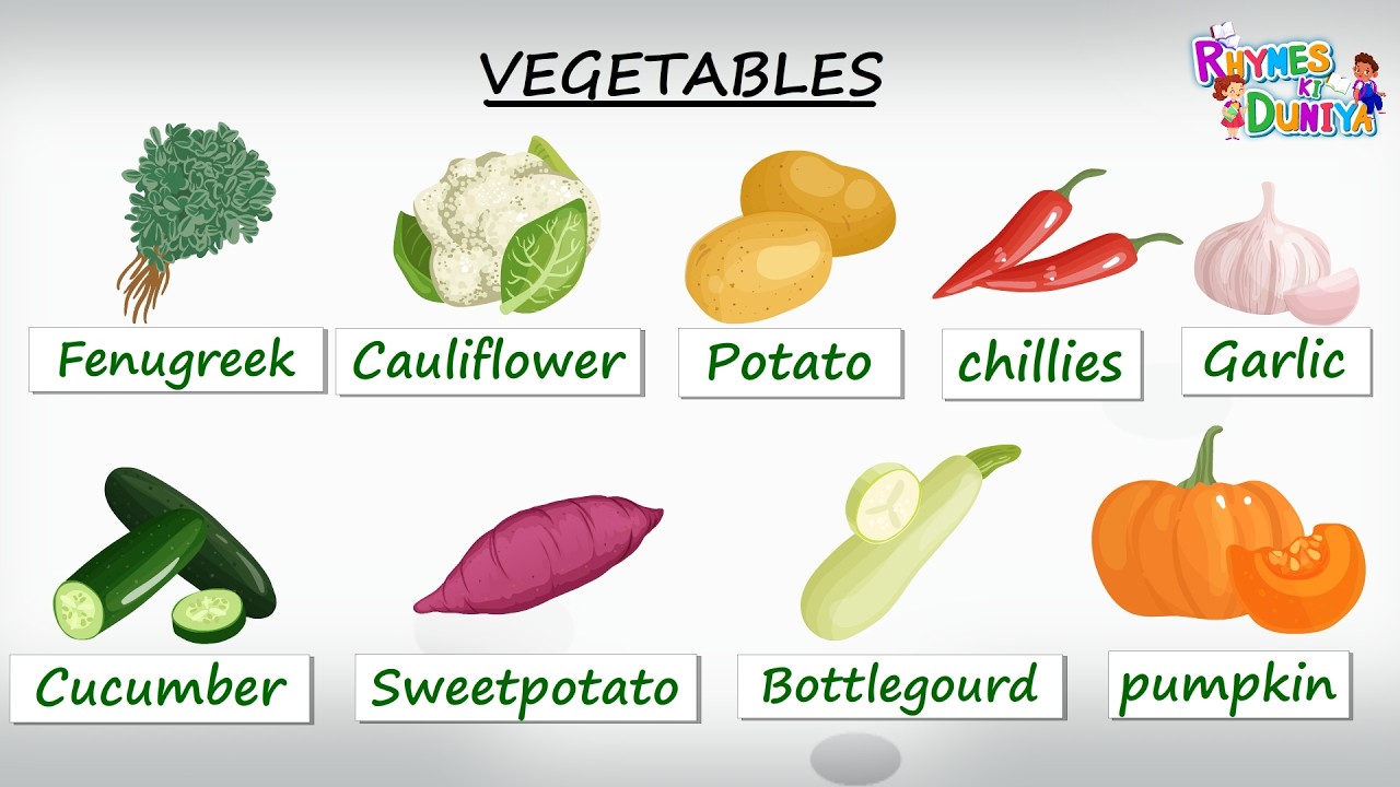 Vegetable Are Awesome! Learn Their Names with Fun! Jump Into vegetable  Names Every Kid Should Know!