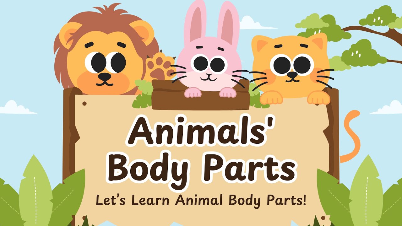 Animal Body Parts Song for Kids | Fun Learning Through Music!