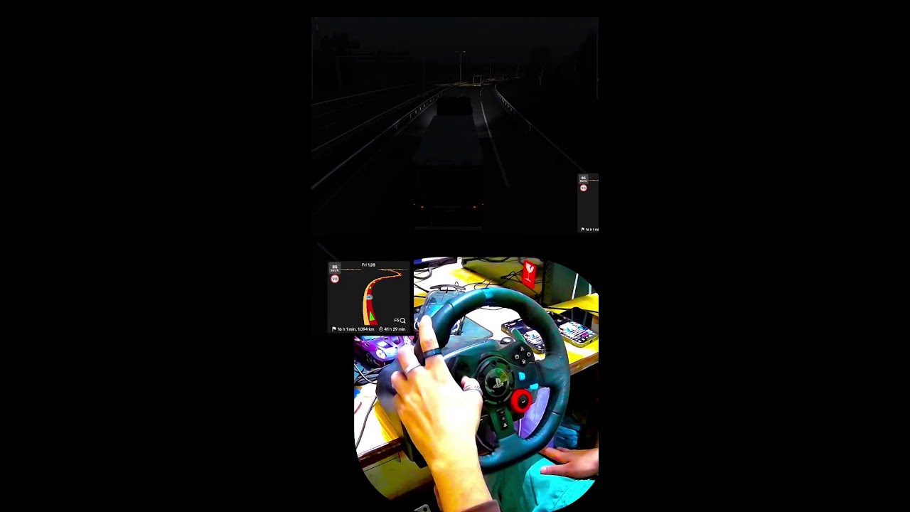 Eye & Head Tracking in Euro Truck Simulator 2 | ETS2 Live | Logitech G29