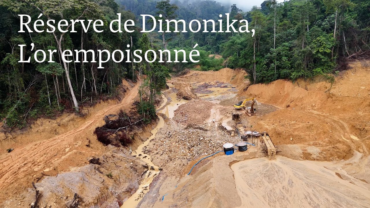 Ruée vers l’or : un poison pour la biosphère de Dimonika