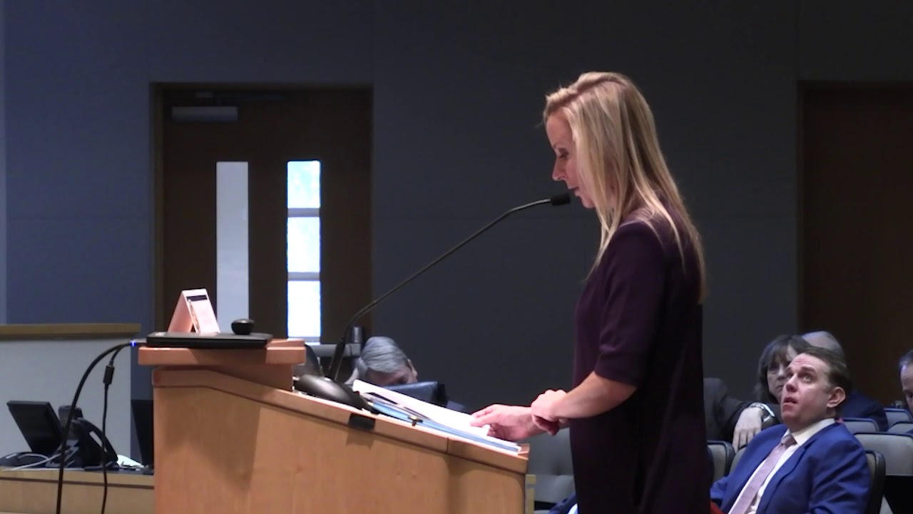 Representative Holly Raschein on HB 1165