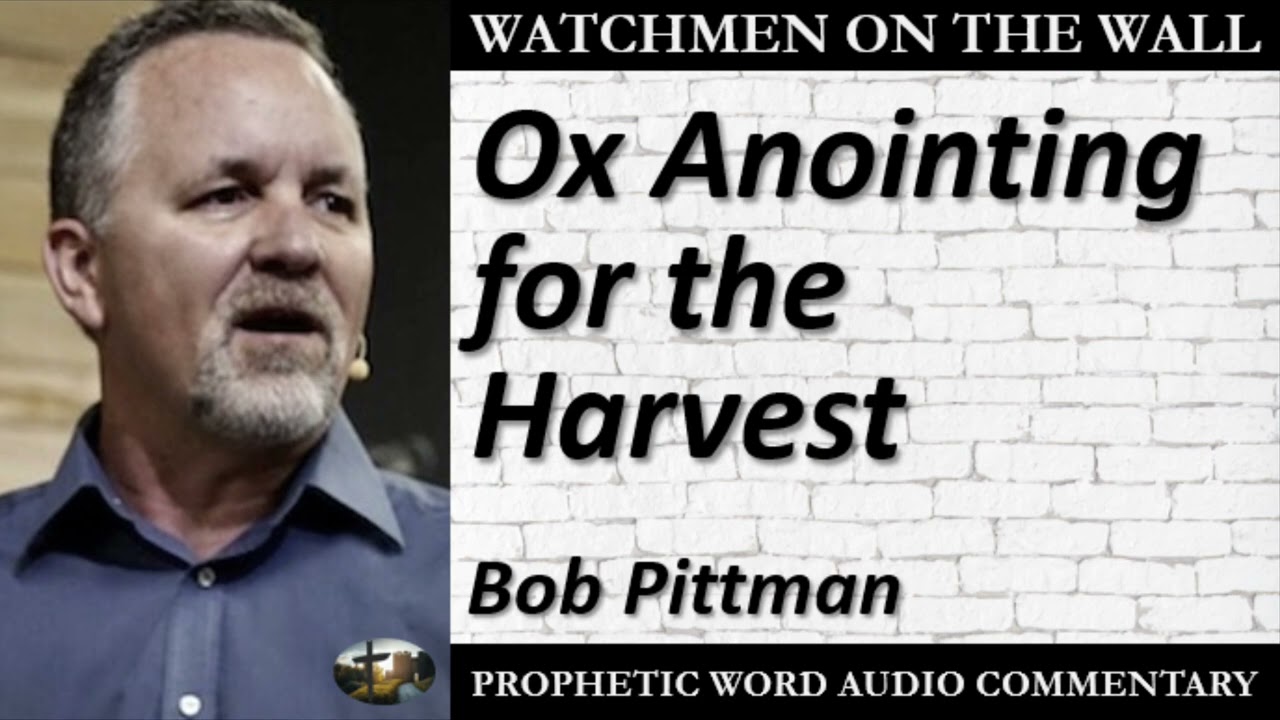“Ox Anointing for the Harvest” – Powerful Prophetic Encouragement from Bob Pittman
