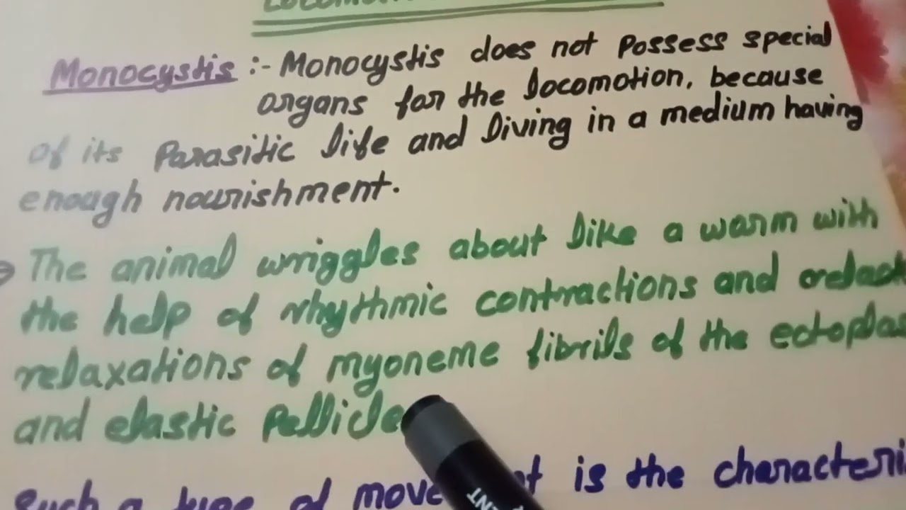 Monocystis ka locomotion kaisa hota hai