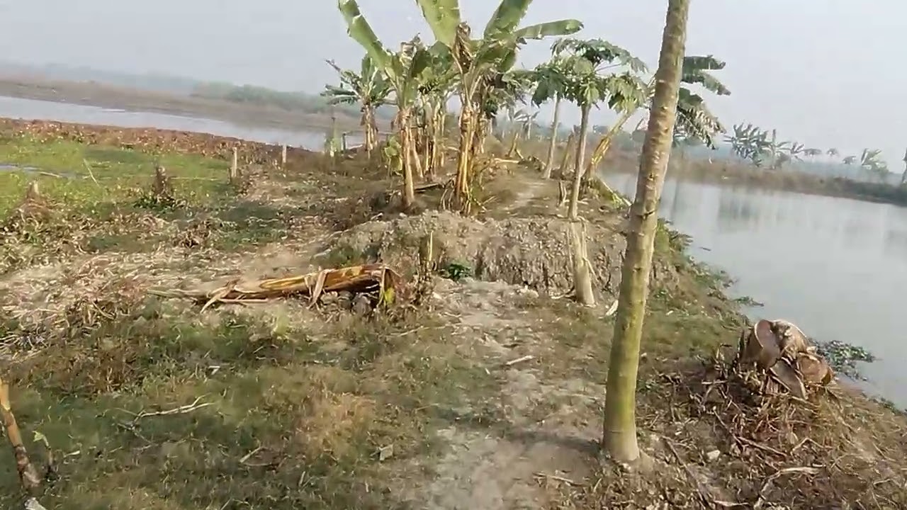 মইদুল বিশ্বাস দয়রামপুর রাবণ বাগান ফানাফিল্লাহ করে দিয়েছে মাথায় বাড়ি দুর্বৃত্তদের হামলা
