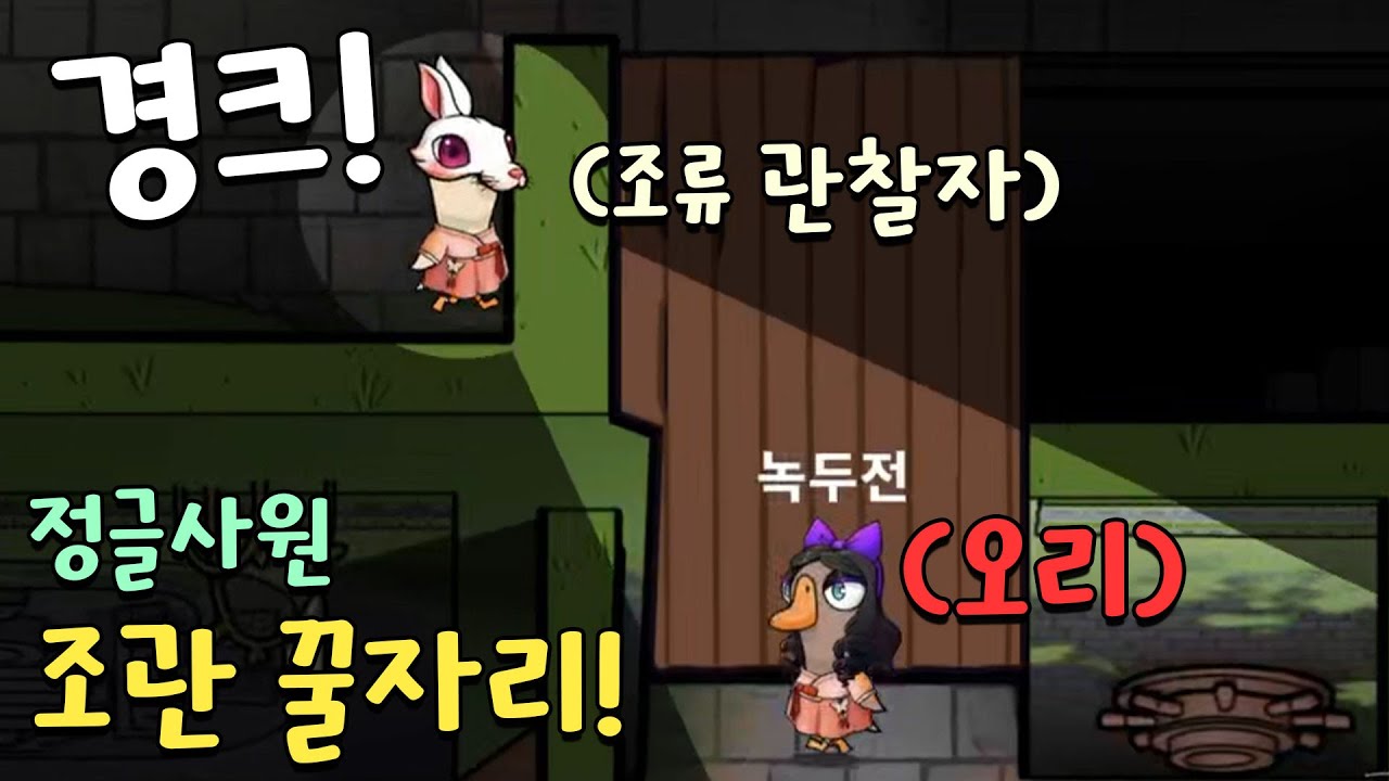 정글사원 조류 관찰자! 이렇게만 하세요⭐ (구스구스덕, 덕몽어스)