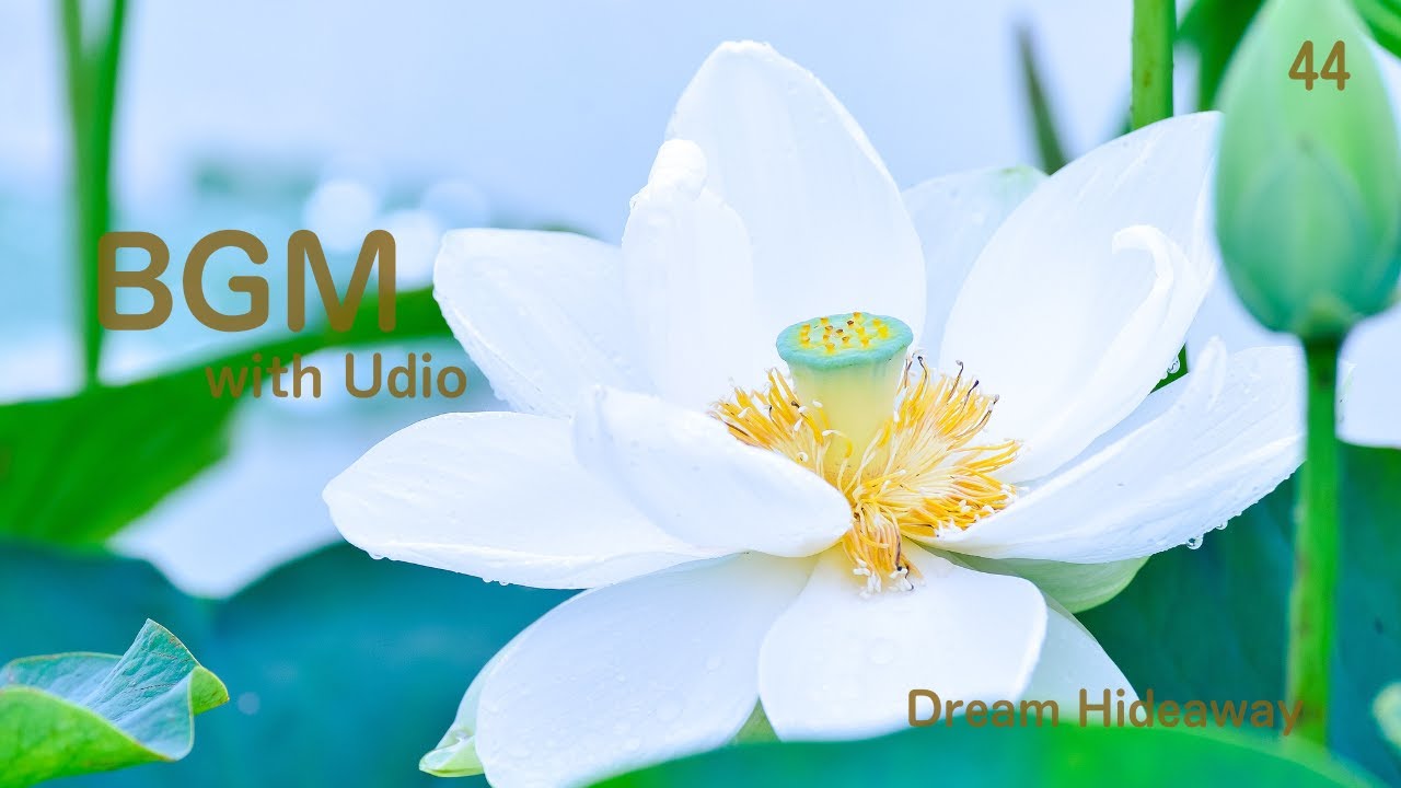 Dream Hideaway BGM No.44