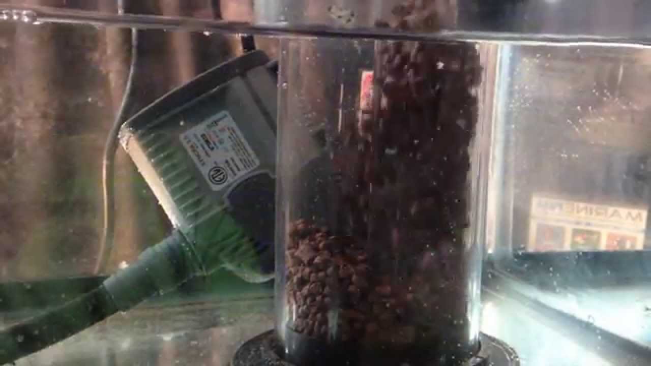 All-In-One BioPellets - 8 Months - ReefKeeping Video Podcast by AmericanReef