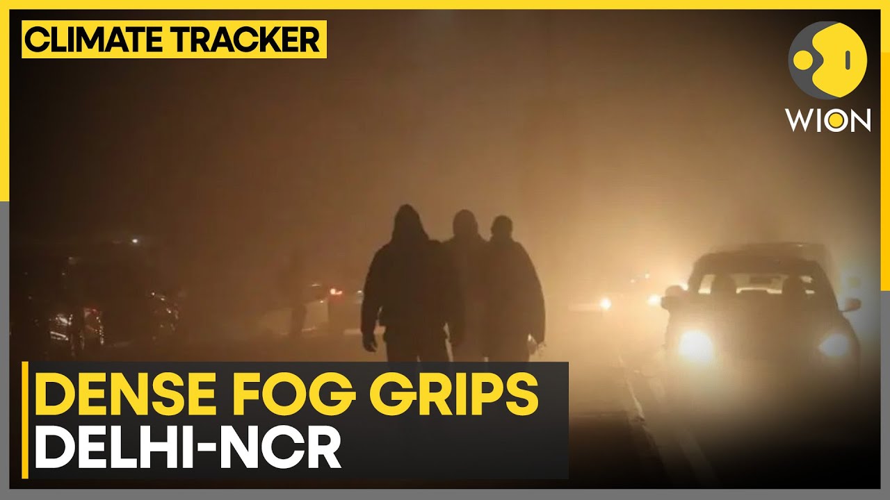 Dense Fog Grips Delhi-NCR| IMD Issues Yellow Alert for Fog | CLIMATE TRACKER