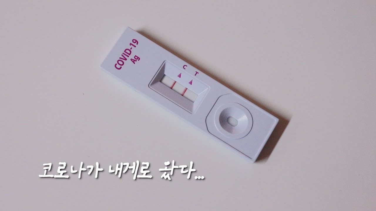 거짓말 같다..