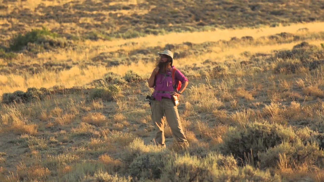 The Bearded Lady Project: Challenging the Face of Science (Trailer 2/2)