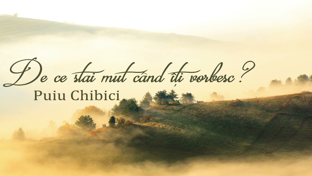 Album (1) De ce stai mut? - Puiu Chibici