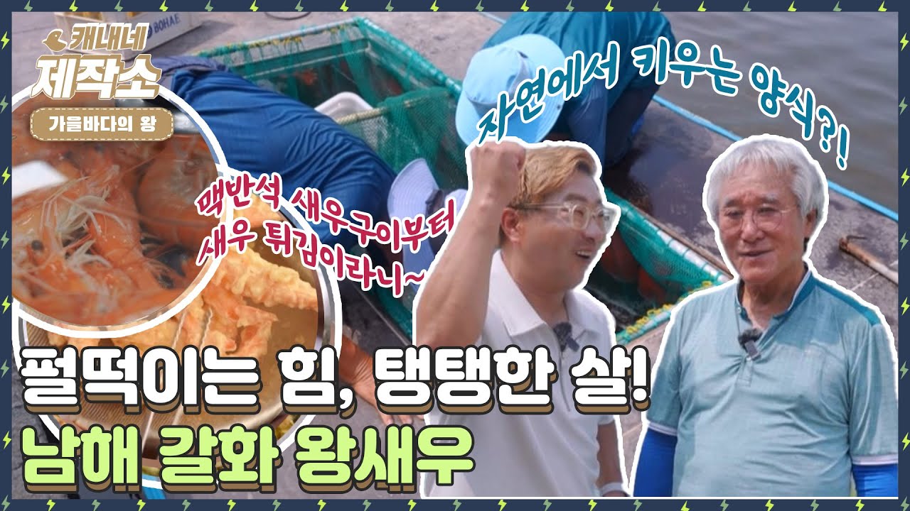 [가을바다의 왕] 🦐왕새우로 할 수 있는 요리가 가득~❓🦐 I 생방송투데이 [프리]