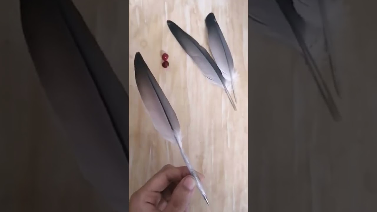 #diy #feathercraft #feather pen #shorts 🕊️