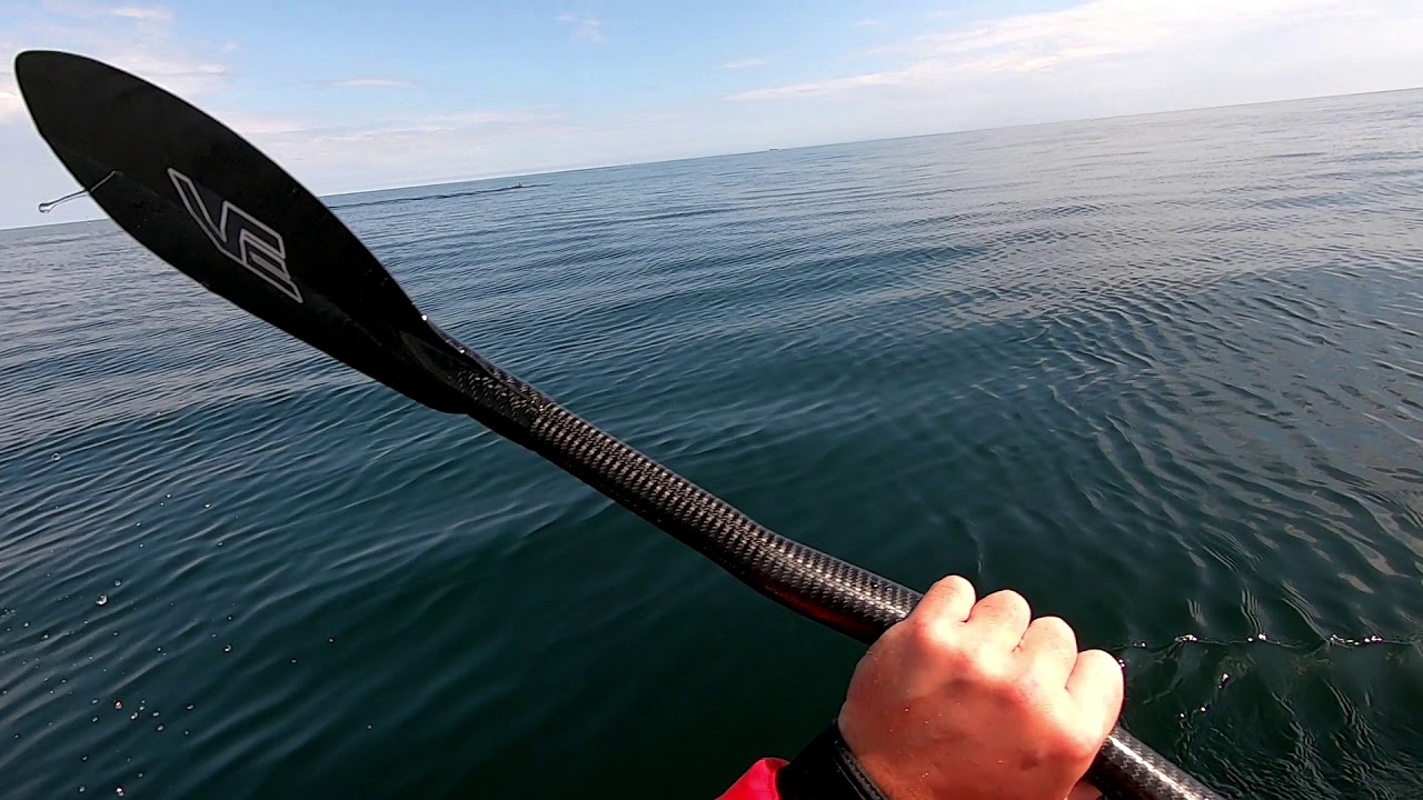 Sea Kayaking with Dolphins - Berwick - Northumberland