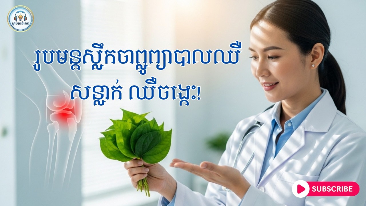 គ្រូពេទ្យពន្យល់ច្បាស់! ស្លឹកចាព្លូព្យាបាលឈឺសន្លាក់ស័ក្តិសិទ្ធិមែន តែមនុស្ស ៥ ក្រុមនេះដាច់ខាតហាមប្រើ!