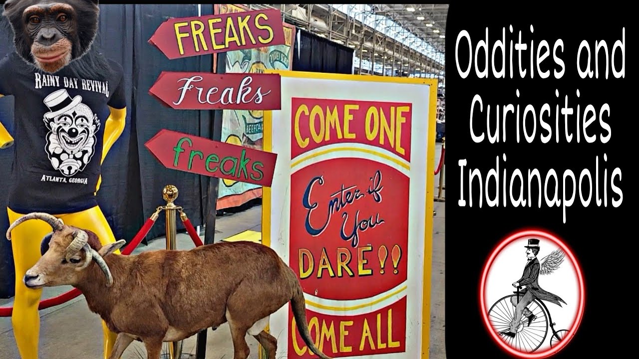 Oddities and Curiosities Expo / Indianapolis, Indiana / 2021 