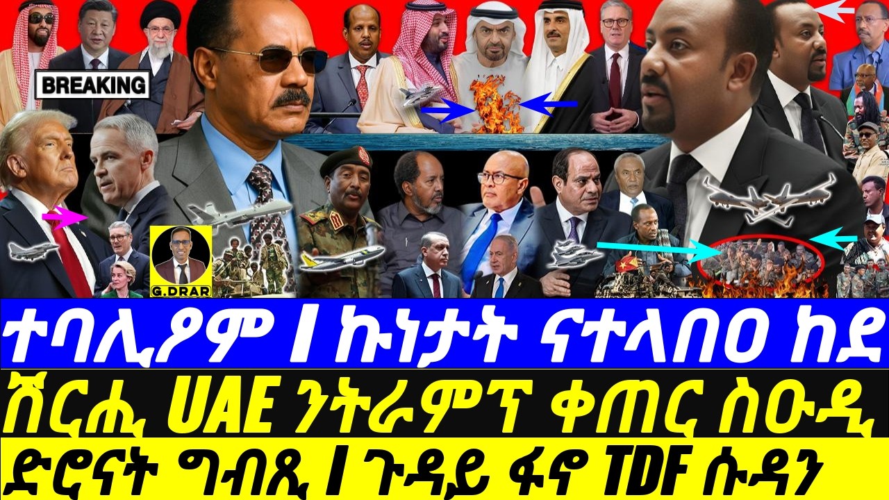 Feb-02 ኩነታት ናገደደ ከደ I ድሮናት ግብጺ I ጉዳይ ፋኖ TDF ሱዳን I Horn War Update I Qatar vs UAE I Trump vs Canada
