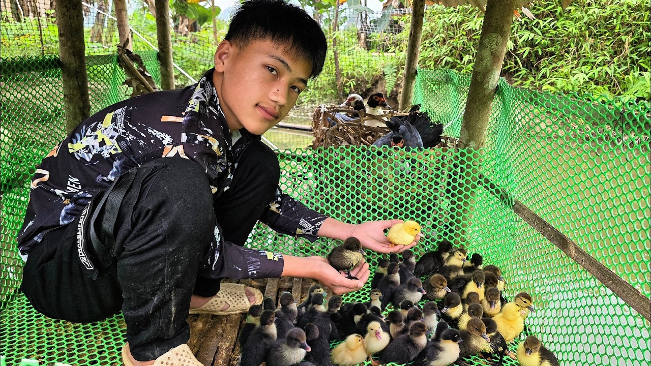 Video: Nam goes to pick vegetables and catch fish to sell. Cooks a delicious meal to enjoy with Mun