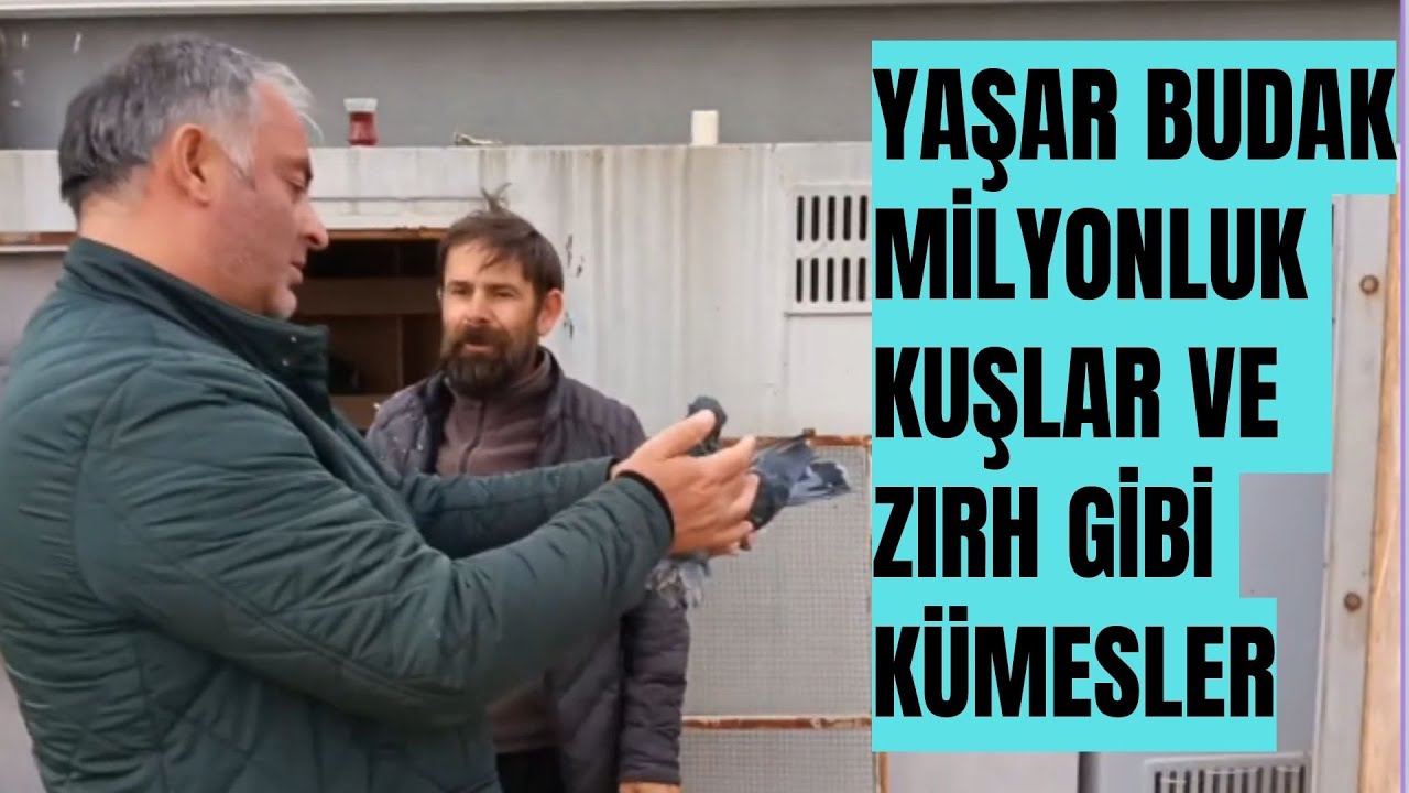 Volkan Güngör Farkı Her Zaman Fark Yaratır Oyun Kuşunun Dibinin Dibindeyiz.