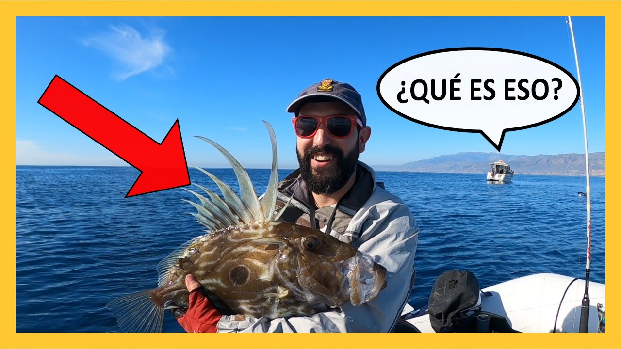 🐟⛵ PESCA DESDE EMBARCACION fondeada. GALLOPEDRO (Gallo de San Pedro) y PARGO XL - Jurel Ramon #2
