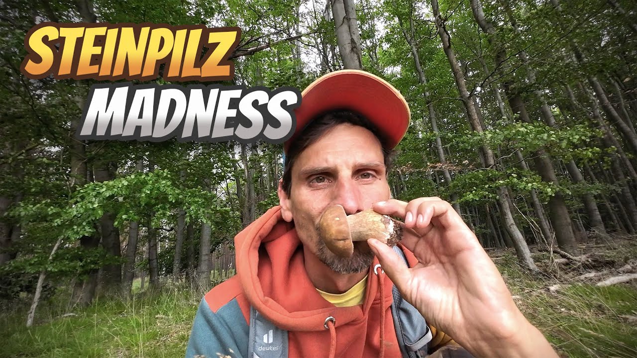 🤯 Eine Horde Steinpilze warten auf mich im Wald! & andere Waldsnacks