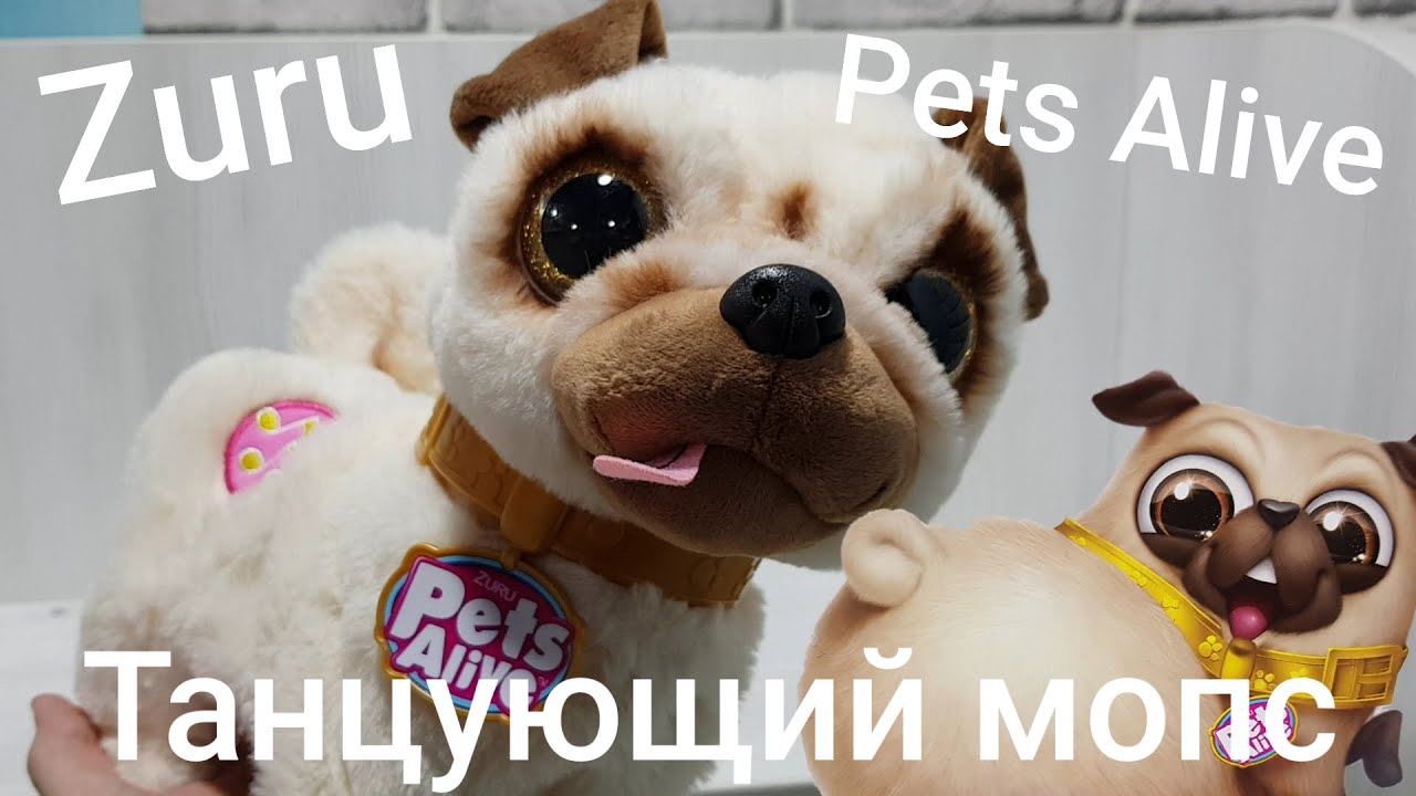 Zuru Pets Alive - Танцующий мопс