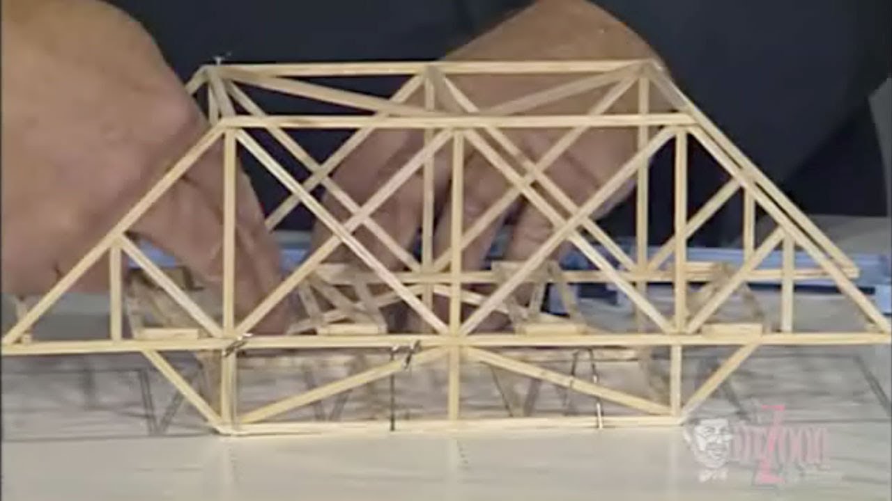 Dr. Zoon: Bridge Building