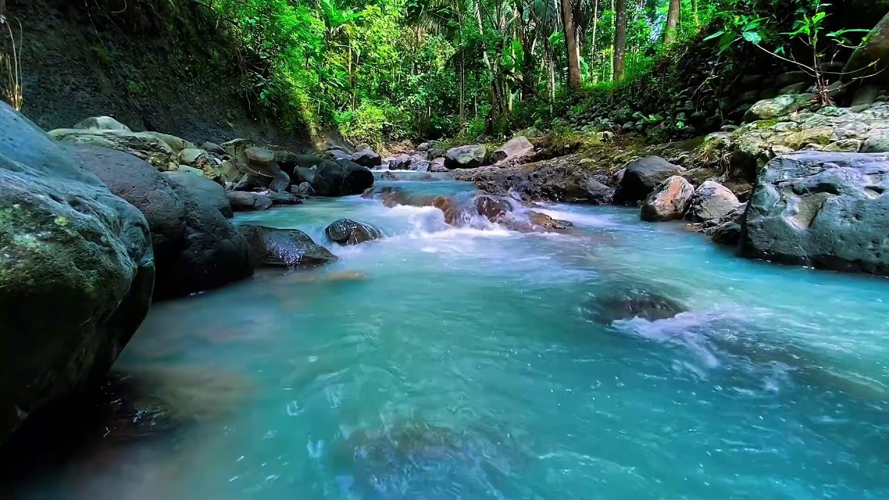 Forest River Night Flow, Mountain Stream Sounds, Sleep