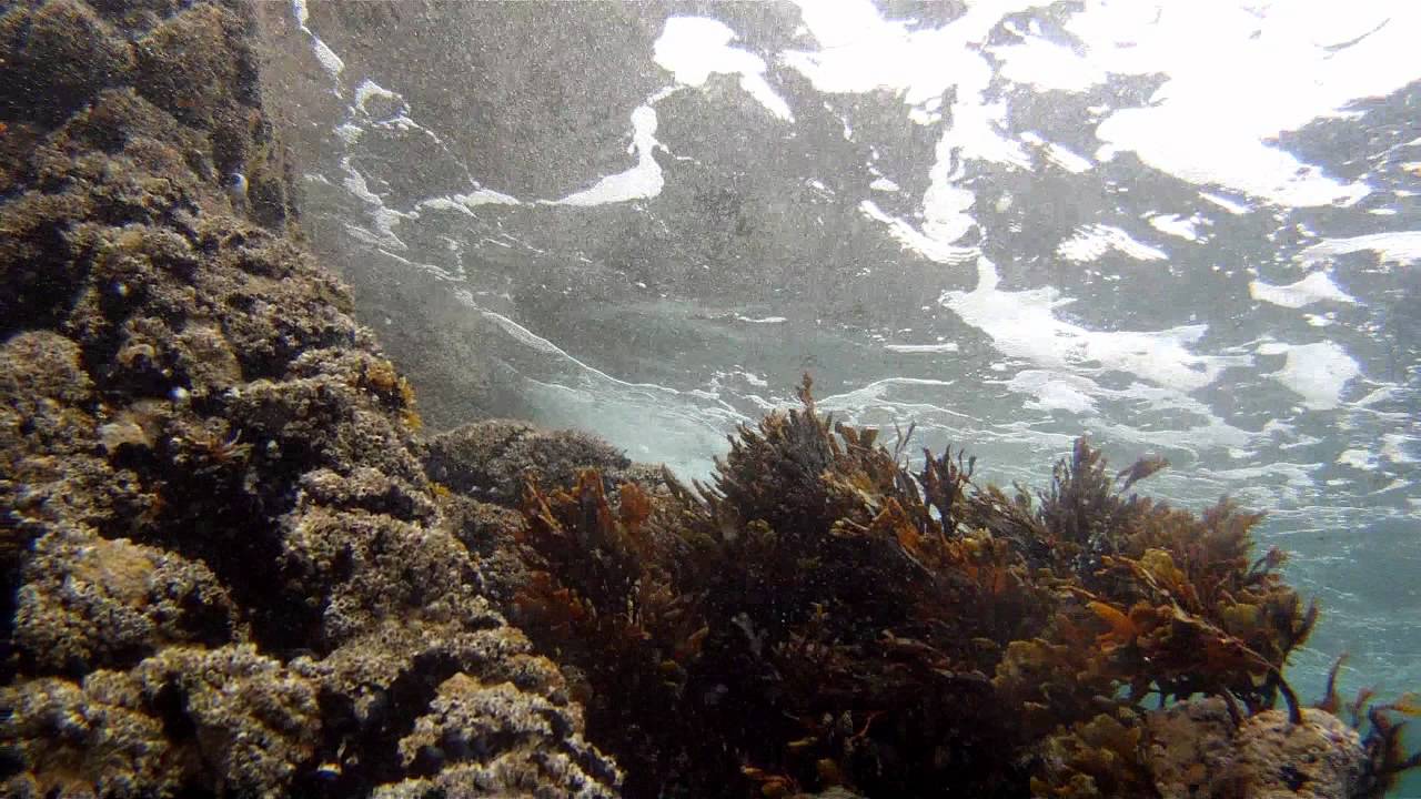 SNORKELING - Old Head, Co. Mayo. (May 2012)