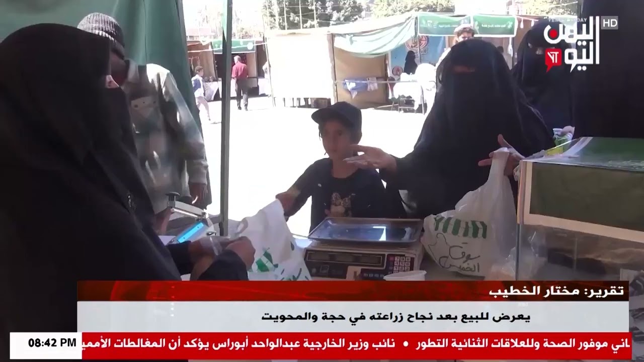 شاهد || الأرز اليمني يعرض للبيع بعد نجاح زراعته في حجة والمحويت - نشرة الاخبار - 13-02-2026م