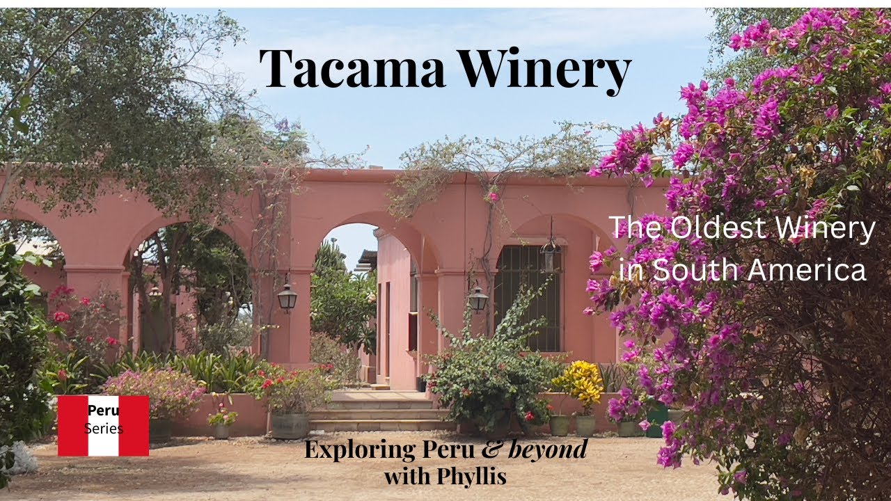 Tacama Winery in Ica, Peru