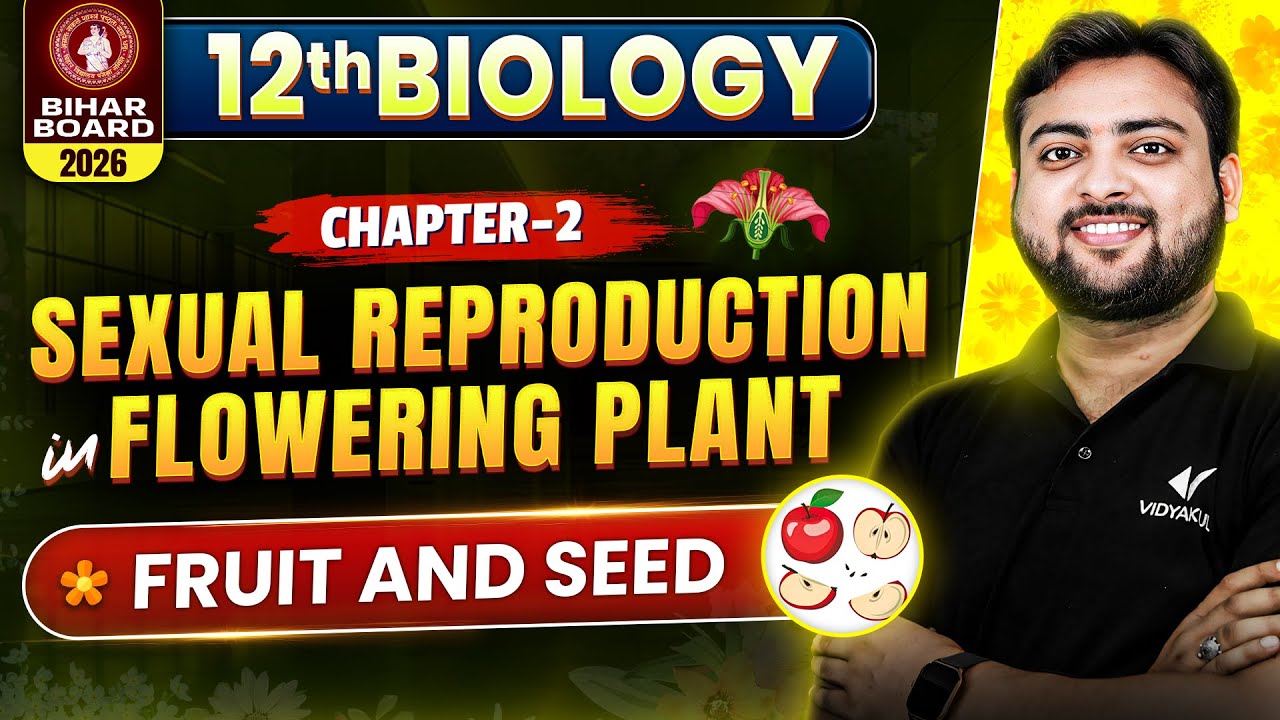 Fruit and Seed - Sexual Reproduction In Flowering Plants | Class 12 Biology Chapter 2 Bihar Board