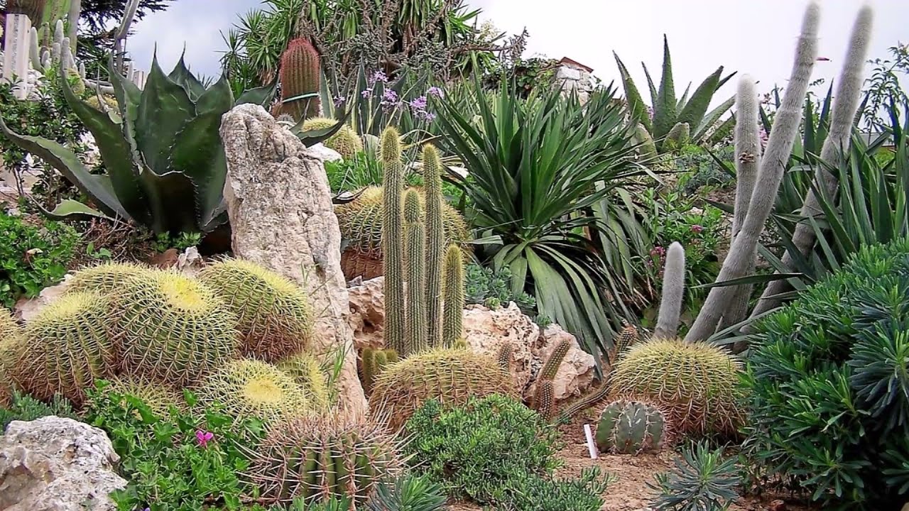 34 Idées pour créer un jardin méditerranéen