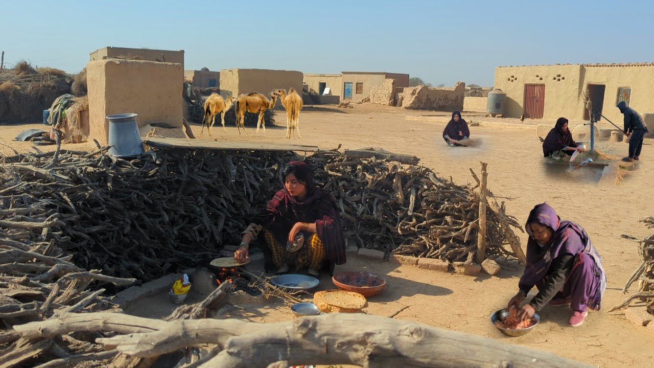 Very Unique Woman Village Life Pakistan | Desert Women Morning Routine | Culture of Pakistan Desert