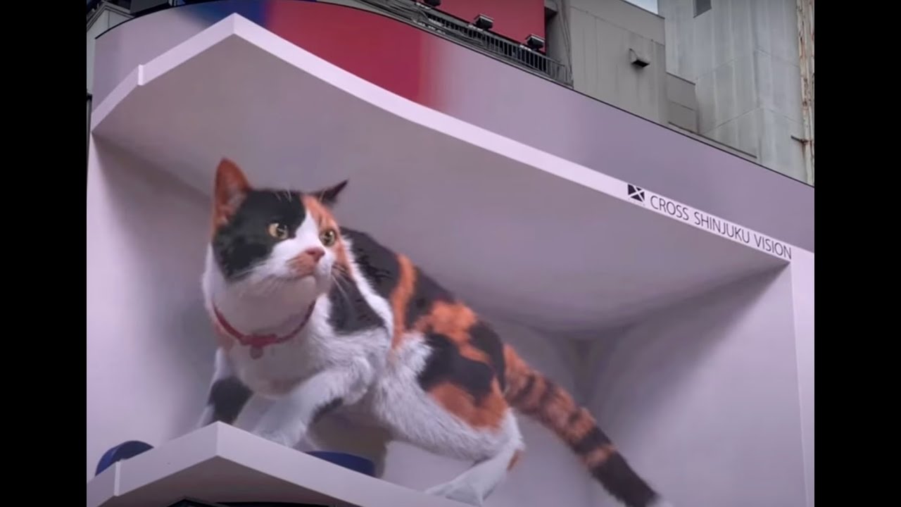 Tokyo shopping districts  with Akira