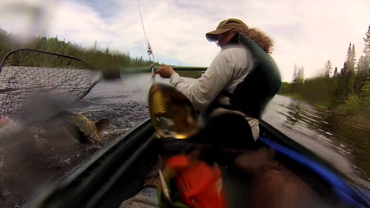Hard Work Fish