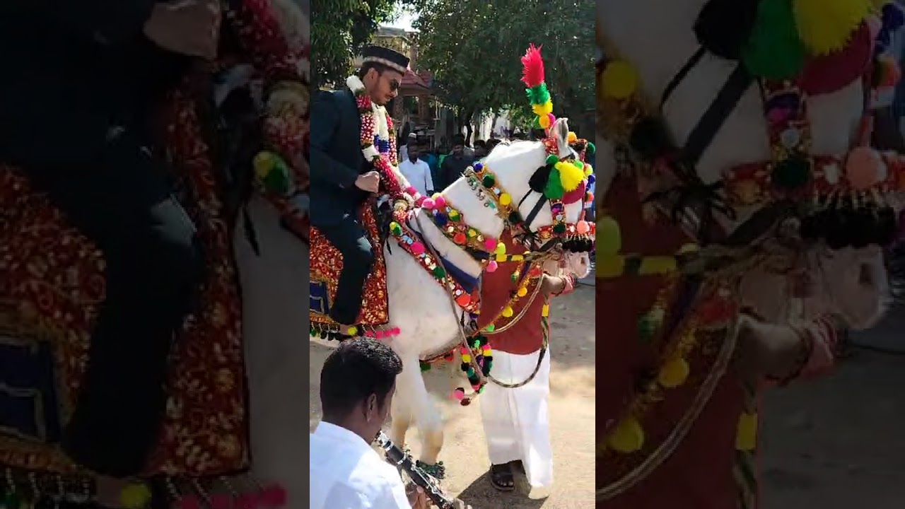 S.S lucky star dancing horses Valantharavai village Ramnad district Tamilnadu cell 8220074108