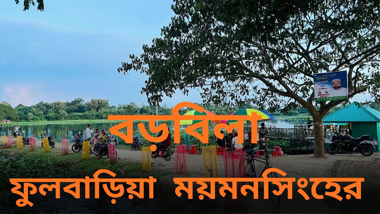 বড়বিলা পদ্মবিল , ফুলবাড়িয়া, ময়মনসিংহ Borobila, Fulbaria, Mymensingh |Sirajulislamblogs || 