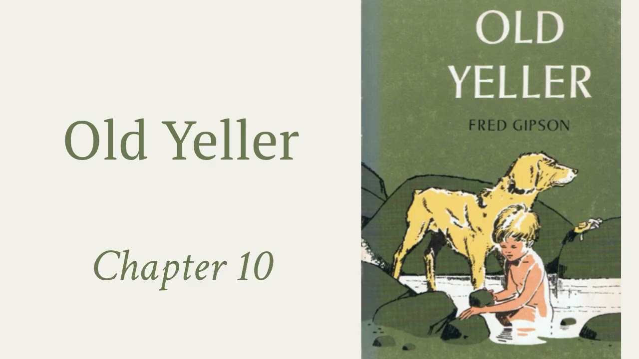 (10) Old Yeller, Chapter 10 *REVISED