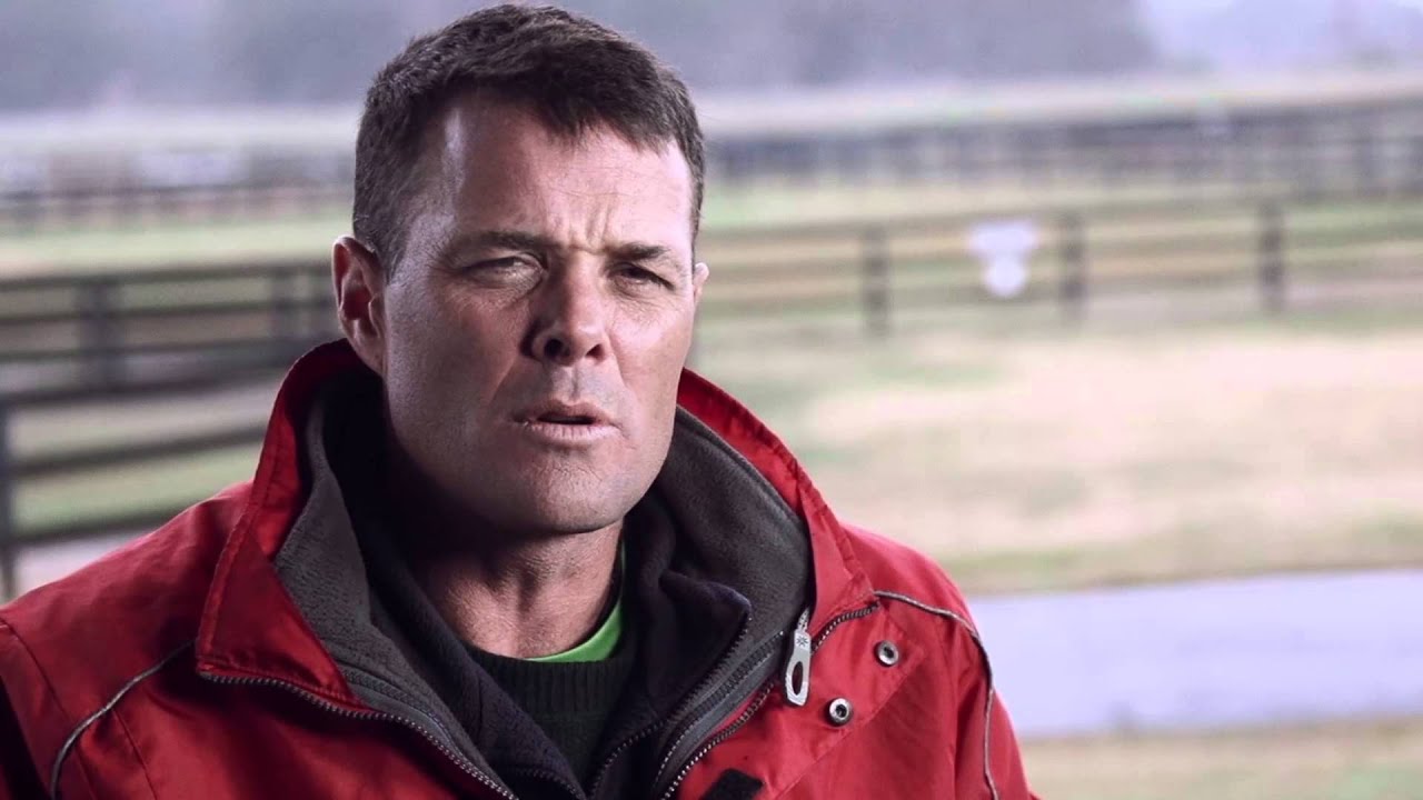 Pegasus Laser Therapy: The Equine Athlete Solution