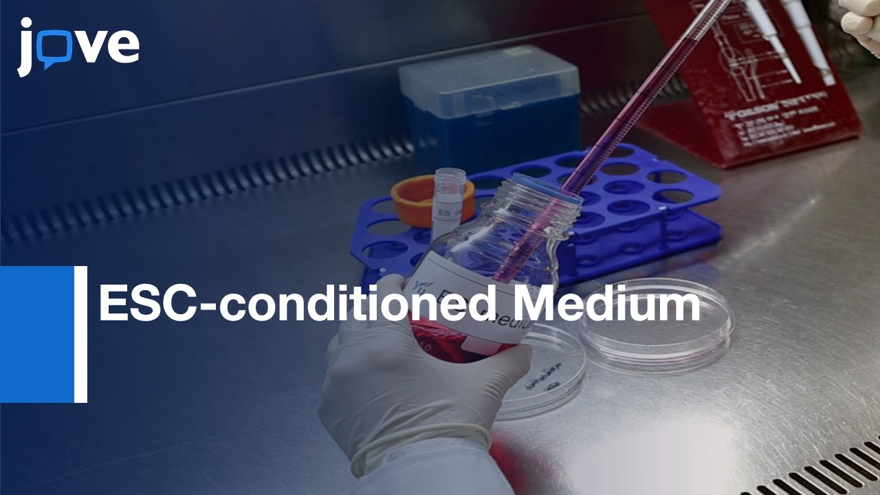 Serum- and Feeder-free ESC-conditioned Medium | Protocol Preview