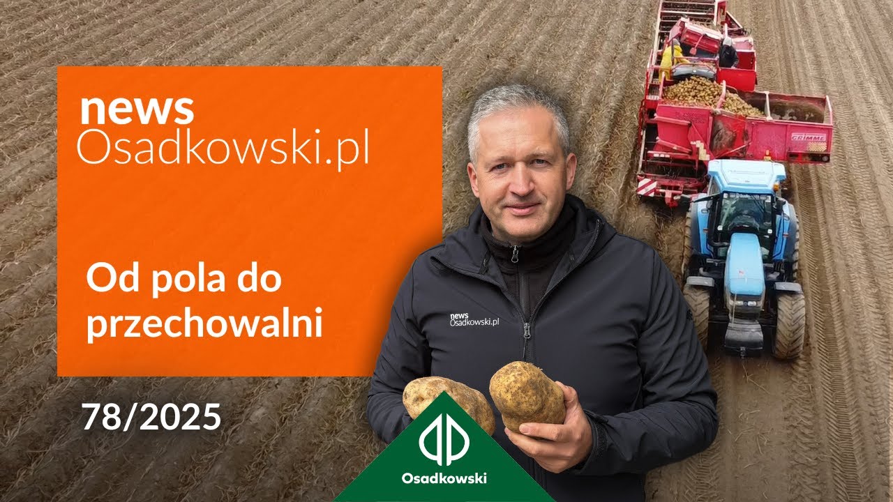 Ziemniak po zbiorze - jak zatrzymać kiełkowanie i straty w przechowalni?