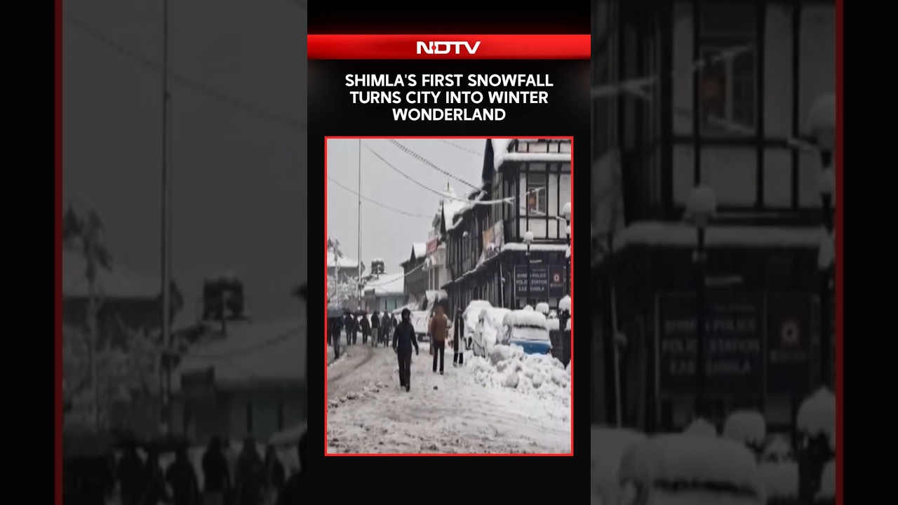 Shimla Turns Into Winter Wonderland With Season's First Snowfall; Daily Life Disrupted