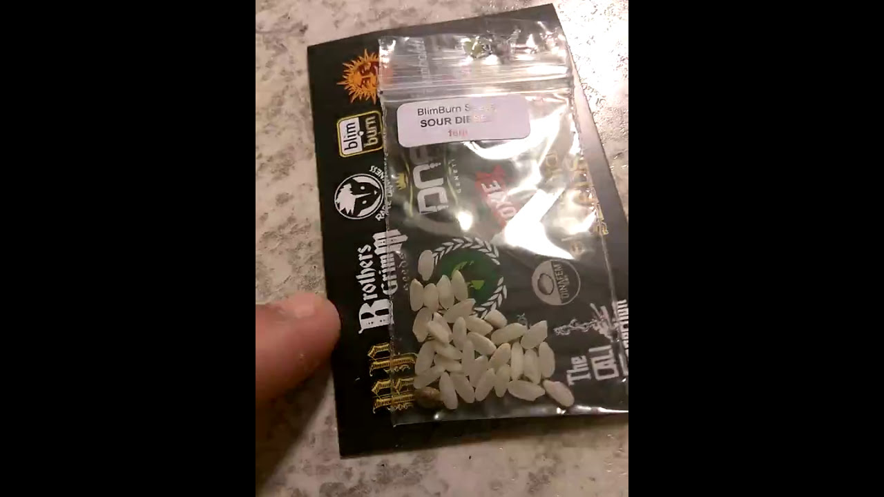 AttitudeSeedBank Order Arrived Today!