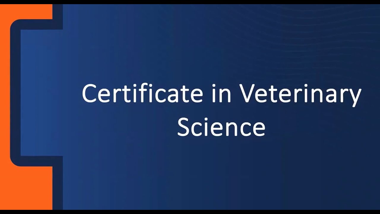 Certificate in Veterinary Science Info Session
