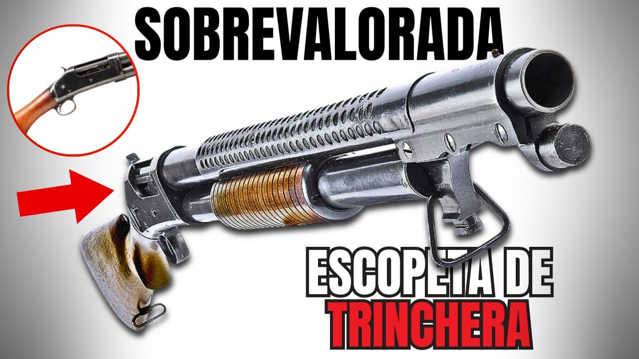 La VERDAD de la 